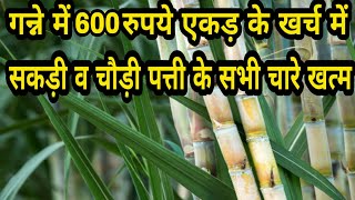 गन्ने के लिए सबसे सस्ता खरपतवार नाशक  ganne ki kheti  ganne me kharpatwaar nashak dawa  herbicide [upl. by Parrie]