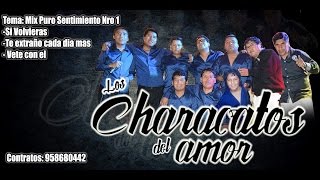 Characatos del Amor 2016  MIX PURO SENTIMIENTO NRO 1 PRIMICIA [upl. by Nyrad]