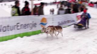 Schlittenhunderennen Todtmoos 2012 Zeitlupenstudien [upl. by Vander]