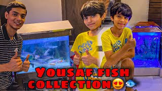 Yousaf fish collection😍🐟  Clackers Tak Tak game ke mahir apne ghar hi mill gye🤣 [upl. by Duahsar]