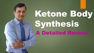 Ketogenesis Ketone Body Synthesis [upl. by Onifled]