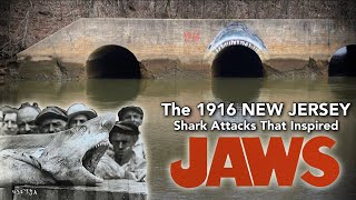 The 1916 New Jersey Shark AttacksThat Inspired JAWS 4K [upl. by Maccarthy244]