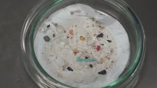 Biologia marina  Microplastiche [upl. by Alhak]