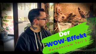 Rückwand beflocken  Makeover Paludarium  Teil 3 [upl. by Nnylrahc]