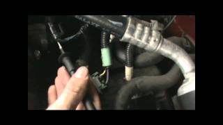 How to test your Throttle Position sensor TPS sensor [upl. by Sverre493]