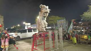 Acrobatic Lion Dance by GDPT Linh Son NW  Chinese New Year 2024  Houston TX [upl. by Lennaj]