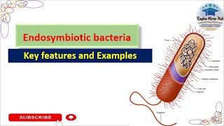 endosymbiotic bacteria  key features and examples of endosymbiotic bacteria  microbiology [upl. by Halonna]