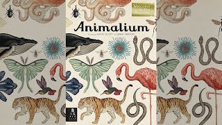 Animalium Welcome to the Museum [upl. by Aeila]