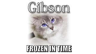 Gibsons Memorial  Frozen In Time [upl. by Nico269]