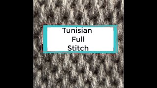 Tunisian Full Stitch aka Gobelin Stitch Tutorial [upl. by Roseanna]