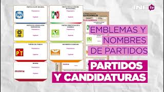 Conoce la boleta para votar por Diputaciones este 2 de junio [upl. by Park]