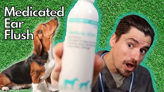 Medicated EAR Flush for itchy ears Malacetic Ultra Veterinarian Explains [upl. by Ahsenad]