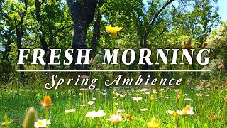 🌿🌞Begin Your Day with the POSITIVE ENERGY of Healing Spring Sounds🌿Fresh Morning Ambience Meditation [upl. by Nahgam303]