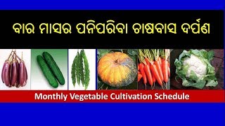 Monthly Vegetable Cultivation ScheduleOdia [upl. by Cynth]