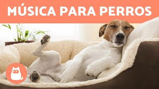 MÚSICA PARA DORMIR PERROS 🐶 💤 ¡Relaja y mejora la ansiedad [upl. by Leinahtam]