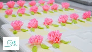 カーネーションレアチーズケーキ【母の日♪ 】｜Carnation Nobake Cake【Mothers day 】｜【お菓子作り】 어버이날 카네이션 케이크 [upl. by Otsedom203]