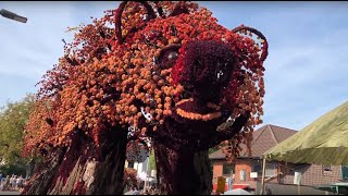 Bloemencorso Lichtenvoorde 2023 compleet zo 10 September 2023  1 uur en 3 min [upl. by Spillihp]