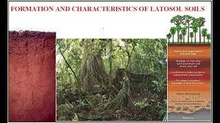 Characteristics and formation of latosol soils CSEC Geography [upl. by Osborne]