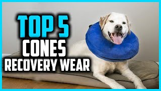 ✅Top 5 Best Cones and Recovery Wear for Dogs in 2024 [upl. by Gnilrits]