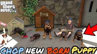 CHOP HAS NEW BORN PUPPIES  GTA 5 [upl. by Nehgaem]