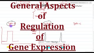 2 General aspects of gene regulation [upl. by Nosyrb]