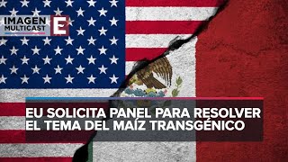 Pese a panel México descarta modificar decreto sobre maíz transgénico [upl. by Zetroc770]