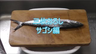 【魚のさばき方】釣ったサゴシ（サワラの若魚）を三枚おろしにしてみた [upl. by Ettelliw]