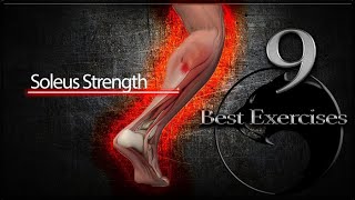 Soleus Strength 9 BEST EXERCISES  IM Certified Coach [upl. by Scheider]