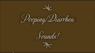 PoopingDiarrhea Sounds Part 2 [upl. by Caria844]