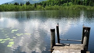 Wanderung um den Bärnsee  Aschau im Chiemgau [upl. by Iturk469]