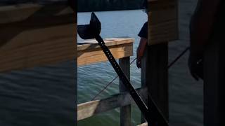 Magnet Fishing with the Bro’s at Tappan Lake Ohiofun magnetfishing magnet [upl. by Nevi]