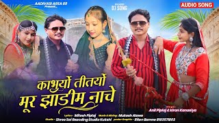 ANIL PIPLAJ NEW SONG 2024  काभार्यो तीतर्यो मूर झाड़ी नाचे  अनिल पिपलाज का नया गाना adivasi [upl. by Adiaj750]