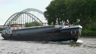 ⚓️STAD NIJKERK 1 vrachtschip uit Nijkerk 03250249 gespot 27 06 2023 [upl. by Diraf697]