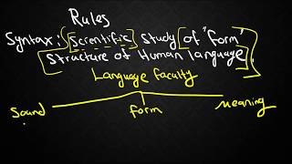 SYNTAX1 Types of Grammars and Locating Syntax within Linguistics [upl. by Warrick451]