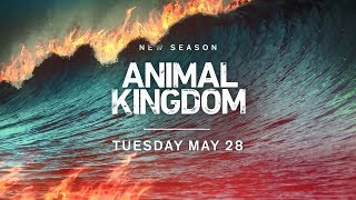 Animal Kingdom Series Recap  TNT [upl. by Narut259]