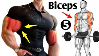 5 Effective Exercises Get Bigger Biceps Faster [upl. by Dnivra]