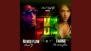 Pum Pum ft Nengo Flow [upl. by Annelg787]