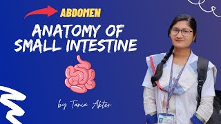 Anatomy of Small Intestine Jejunum and Ilium  Bangla Demonstration of Small Intestine [upl. by Getraer]