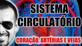 Sistema Circulatório  O coração as artérias e as veias  Anatomia Humana  VideoAula 003 [upl. by Dmitri]