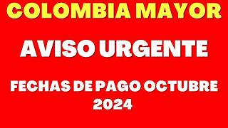 🔔 COLOMBIA MAYOR INFORMACIÓN FECHAS DE PAGO OCTUBRE 2024 [upl. by Duffy]