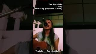 Today Smashing pumpkins cover today smashingpumpkins cover acoustic alternativerock [upl. by Howenstein975]