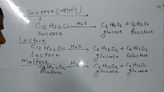 GlucosefructoseLactoseSucroseglactoseampMaltose का संरचना सूत्र details [upl. by Ahmed183]