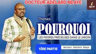 POURQUOI LES PIERRES PRÉCIEUSES DANS LE JARDIN 1ÈRE PARTIE  Docteur Adelard Ndaye [upl. by Yrrehs]