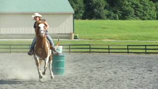 flag race at westeren horse show [upl. by Vizzone]