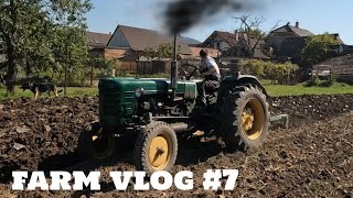 Orba pod žito│Farmvlog7│Zetor 4011 a pluhy Ferd heeger sohn│Engine sound POV [upl. by Attem]