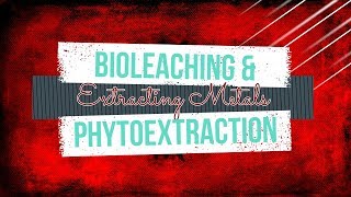 GCSE Chemistry 19 What are Bioleaching and Phytoextraction [upl. by Nesahc]