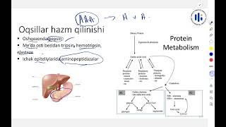 2 Ozuqa moddalar metabolizmi [upl. by Dillie290]