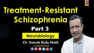 Treatment Resistant Schizophrenia Part 3 Neurobiology [upl. by Kariotta]