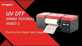 Procolored UV DTF XP600 Sticker Printer Tutorial Video 5 Check print head test page [upl. by Etram]