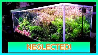 TRIMMING NEGLECTED PLANTED AQUARIUM [upl. by Ahsenhoj]